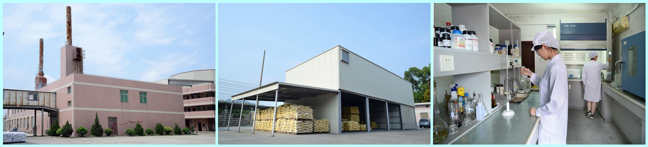 مصنع مجمع صب الميلامين في الصين